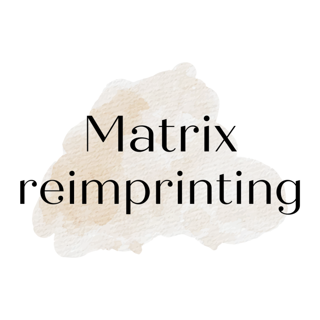 lynda john's thérapeute matrix reimprinting